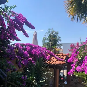  Apartman Ana Croatia